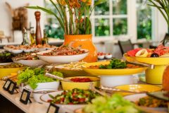Cat_almoço_B-0009