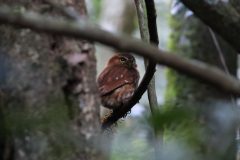 IMG_1969