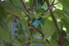 IMG_4940