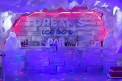 DREAMS ICE BAR
