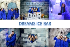 Ice bar