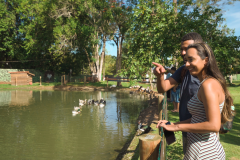 Dreams-Eco-Park-3