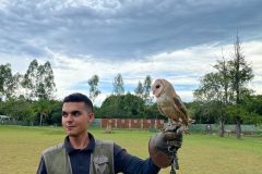 Dreams-Eco-Park-37