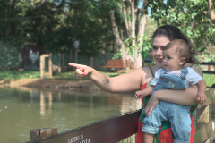 Dreams-Eco-Park-6