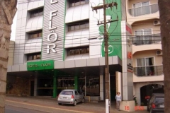 flor_04