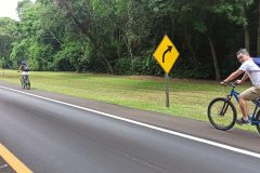 IMG_20240113_112405
