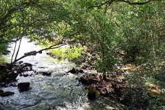 IMG_20240303_101710