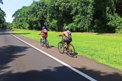 IMG_20240310_110143