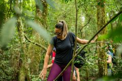 Caminhando-na-floresta-Medium