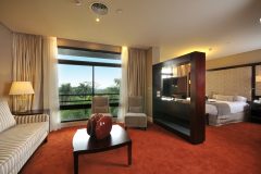 ExecutiveSuite3_Room