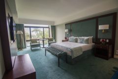 ParadiseSuite_Room2