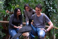 Passeio-para-a-família-