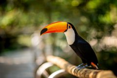 IMG_0359