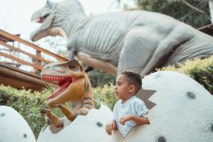 Vale-dos-Dinossauros-11