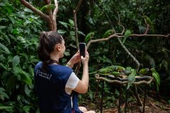 MODELO-PERIQUITO-VISITA-GUIADA-PUMUCKL